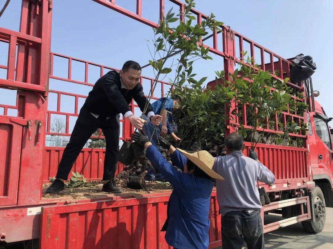 海门市三厂苗圃最新交通新闻