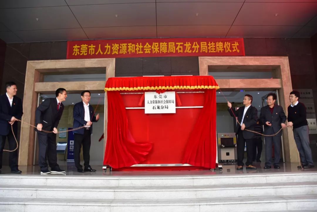 石龙区人力资源和社会保障局最新新闻