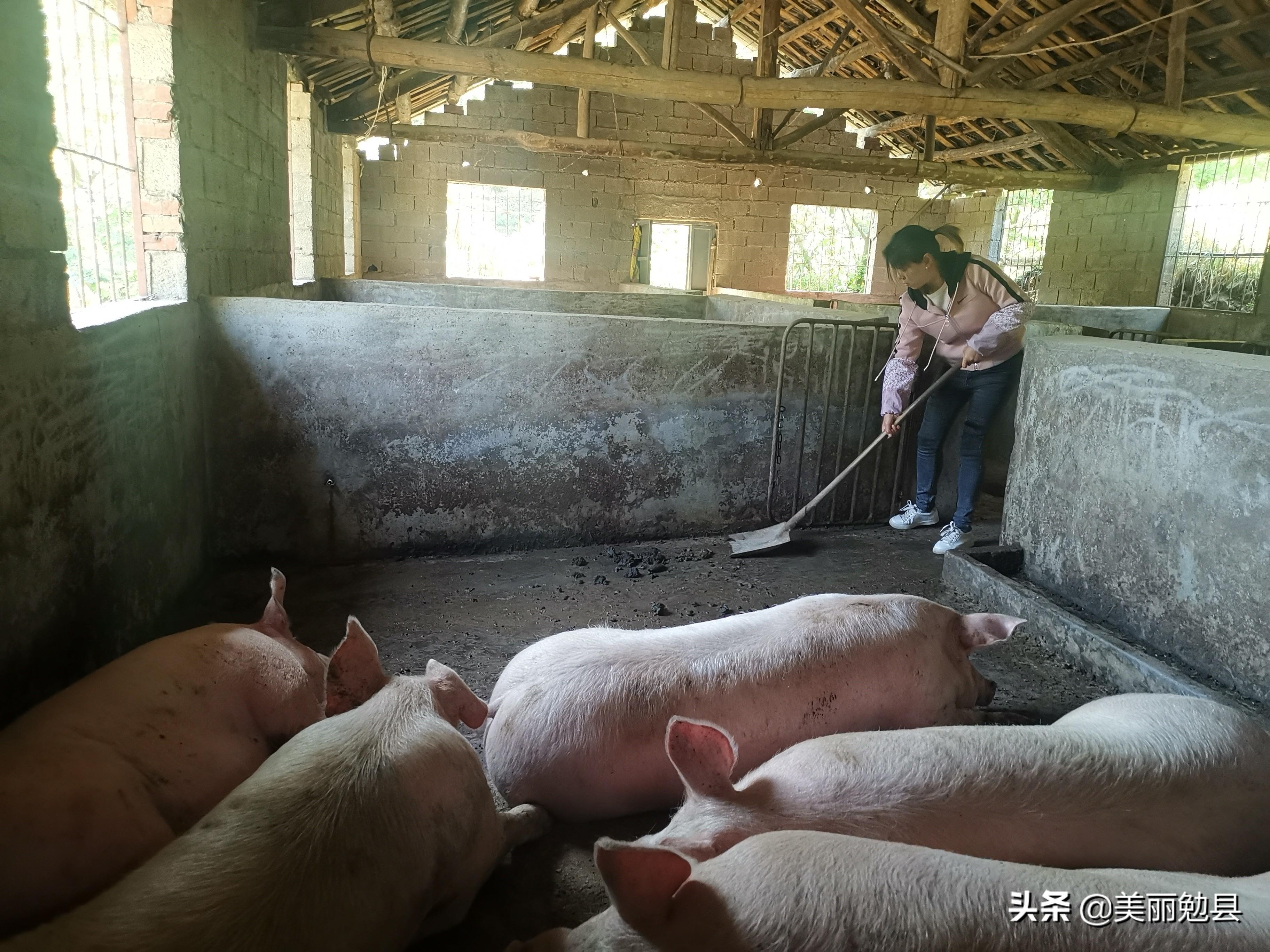 沟口村委会最新新闻