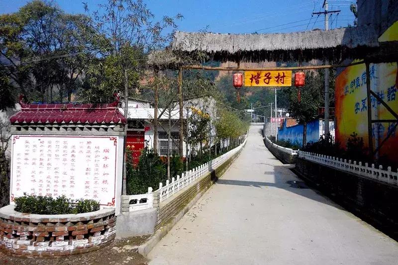 庙底村委会最新项目