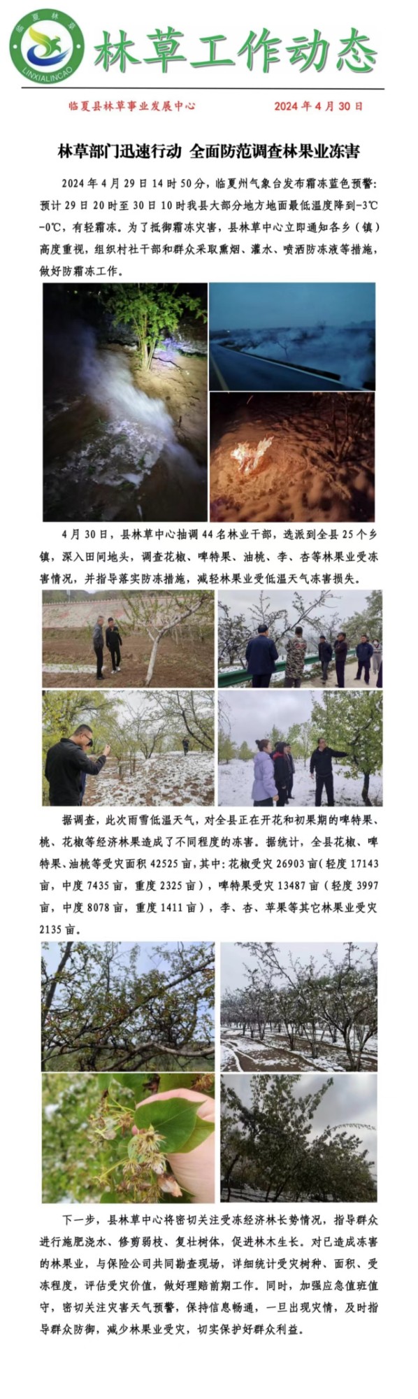 泉林林场最新项目