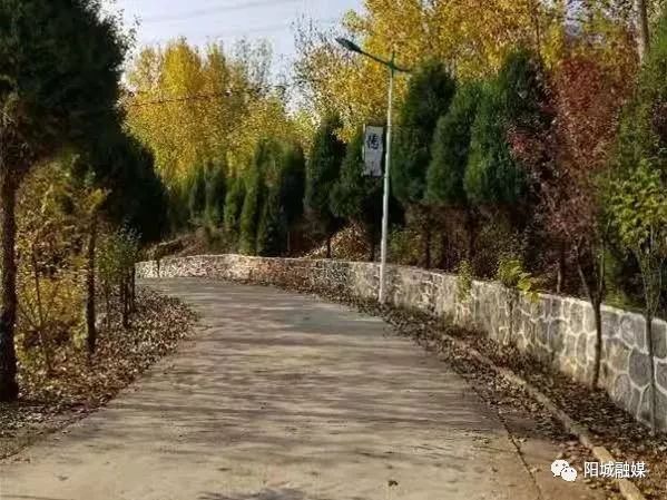 好腰苏木林场最新交通新闻