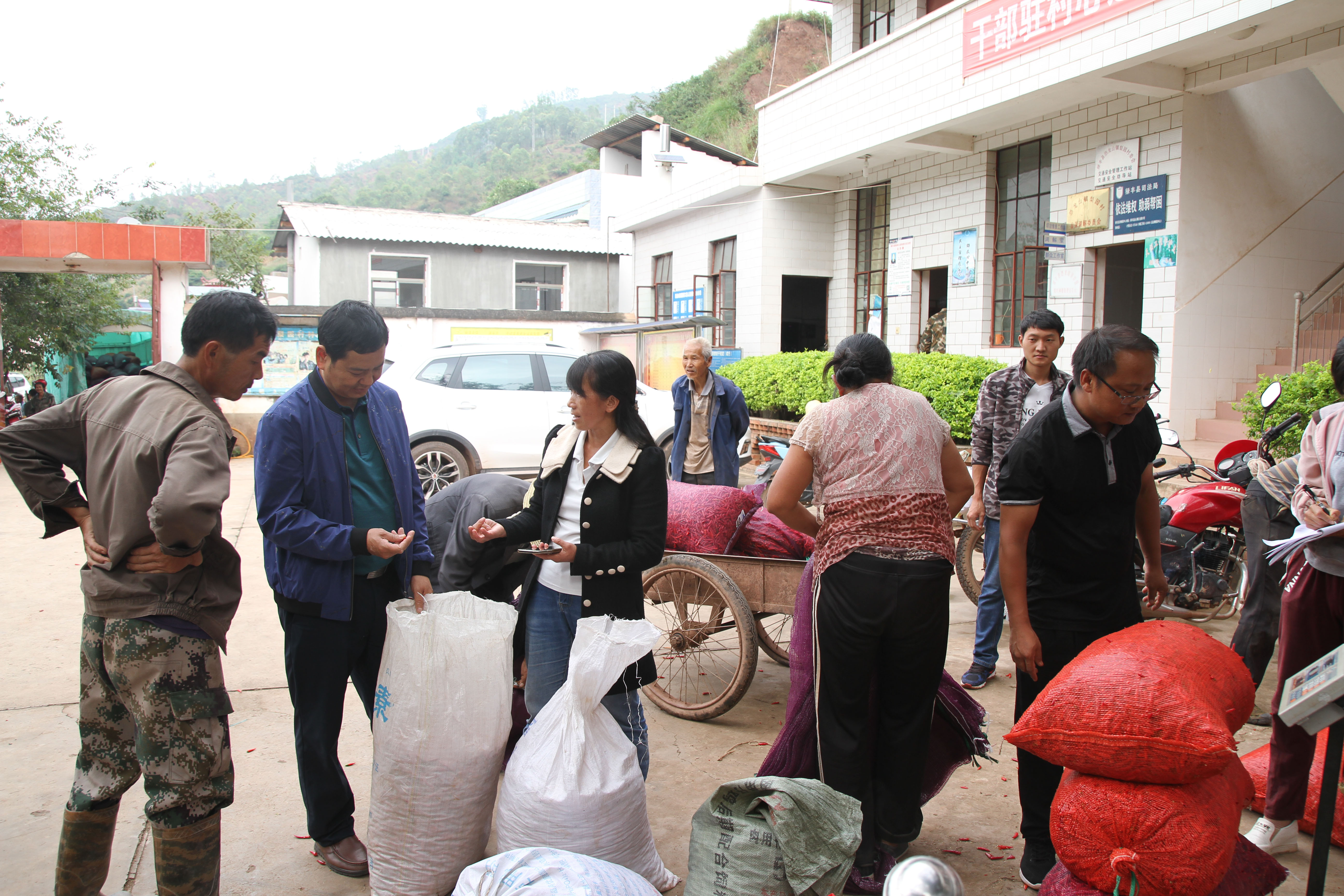 张半山村委会最新领导
