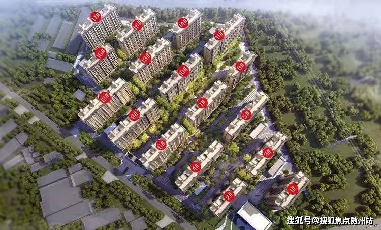 杜鲁居委会最新招聘信息