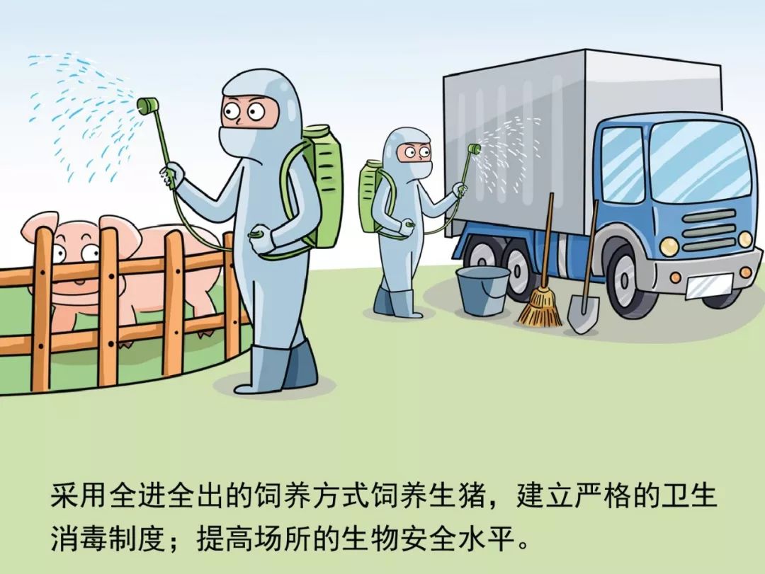 新澳2025最新资料大全挂牌遏止,警惕虚假宣传-全面释义、解释与落实