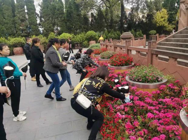 金泉街道最新交通新闻