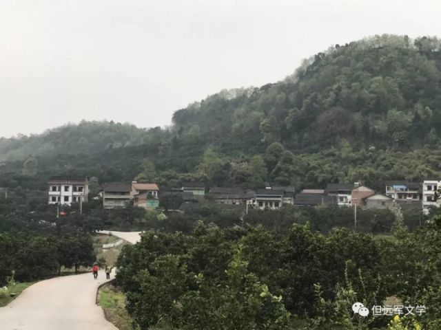 速阳羽 第4页