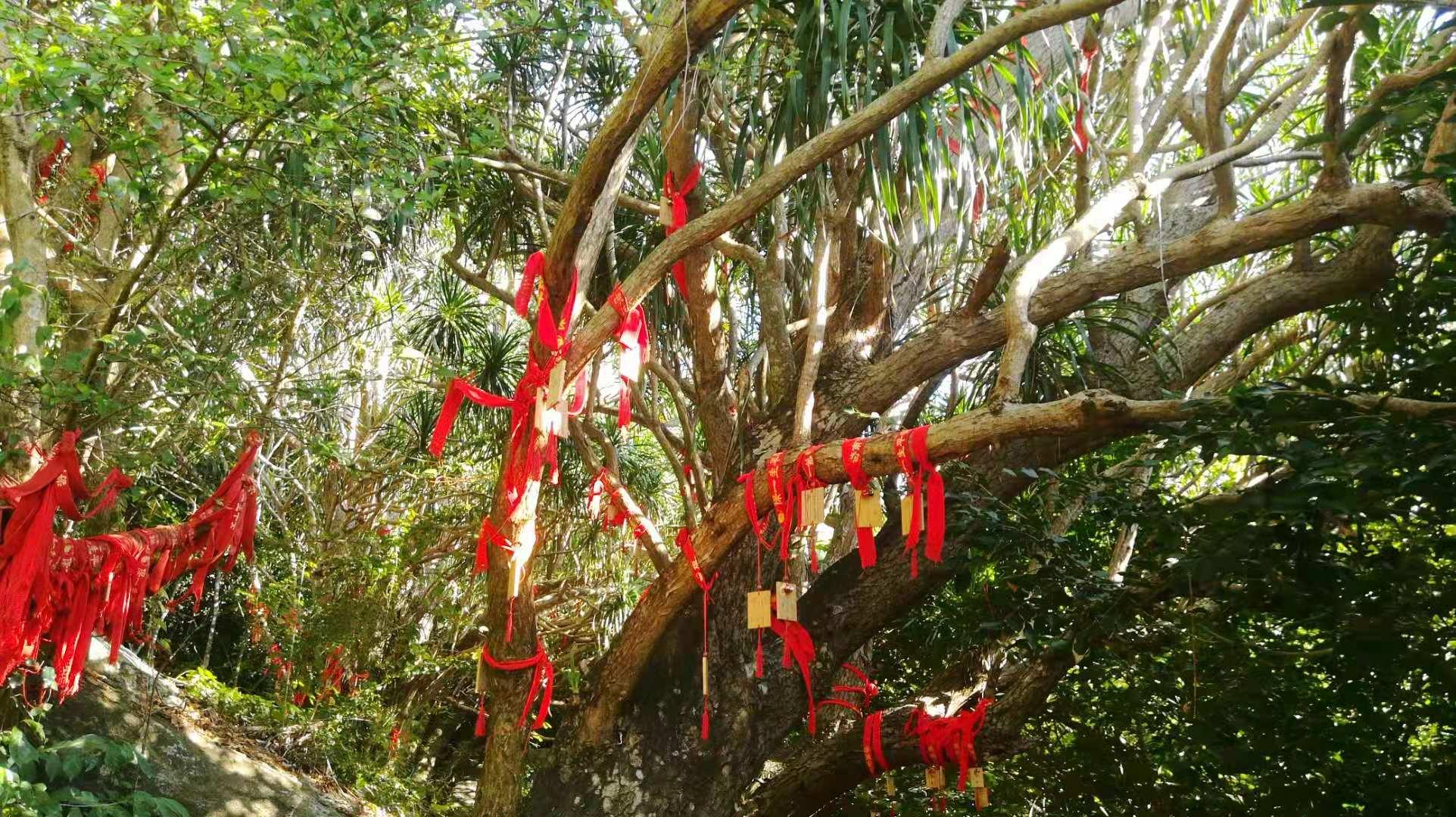 三亚市南山大小洞天旅游区最新开放时间