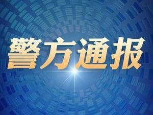 2025年新澳门天天开奖免费查询今日七,词语释义、专家解析解释与落实与警惕虚假宣传