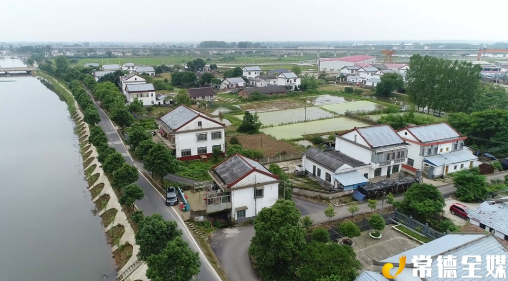 沧港镇最新发展规划