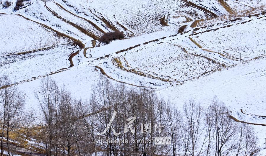 肃南裕固族自治县科学技术和工业信息化局最新人事任命