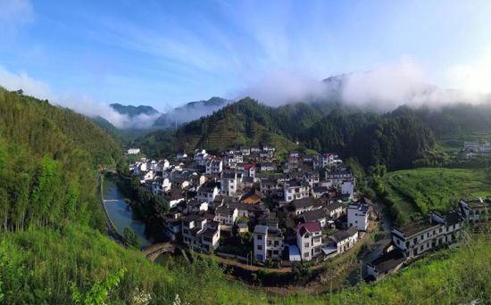 洪星乡最新项目