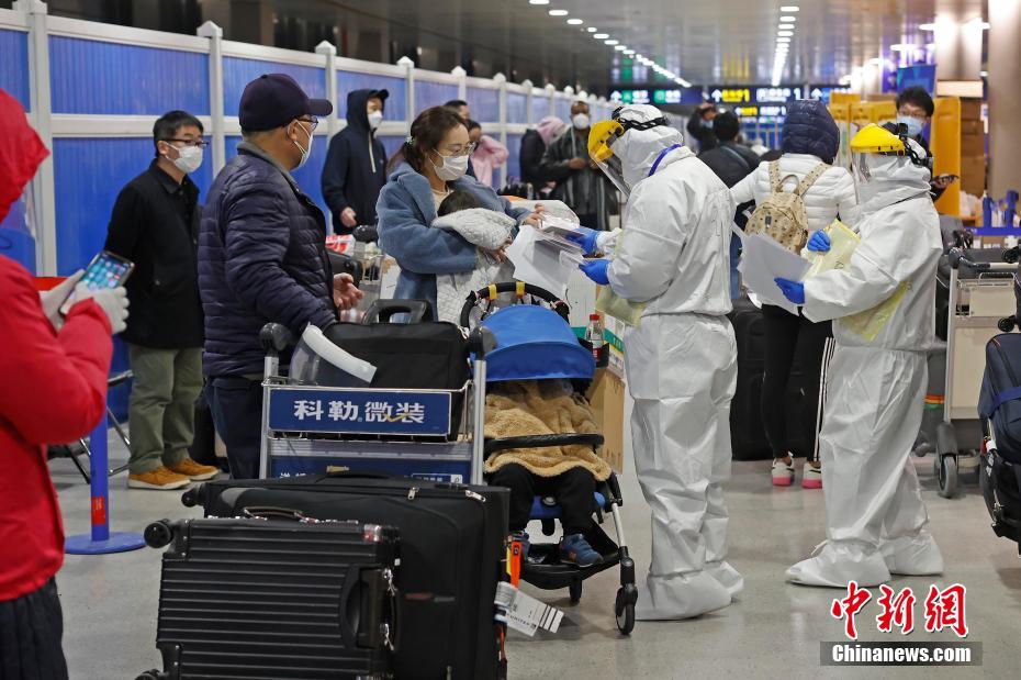 全球视角下的十二月三十一日疫情报告,最新动态与趋势分析