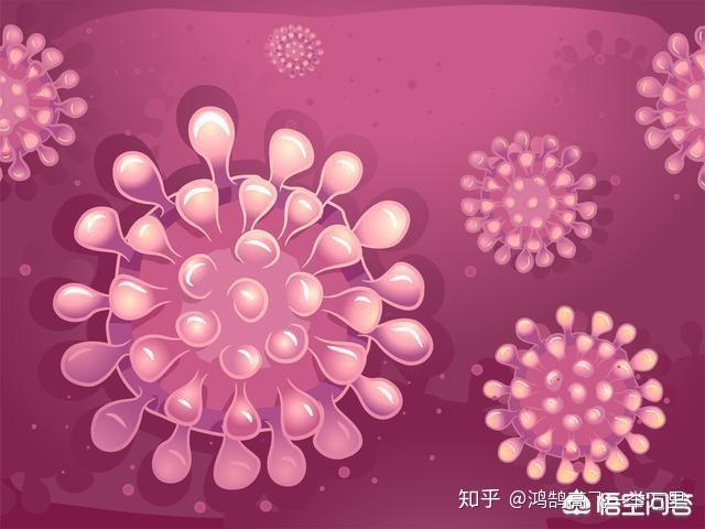 最新冠状病毒肺炎,中国面临的挑战与应对策略