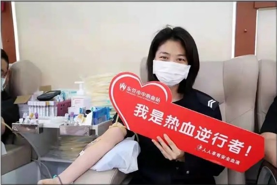 燕杏最新动态揭秘,未来无限可能展望