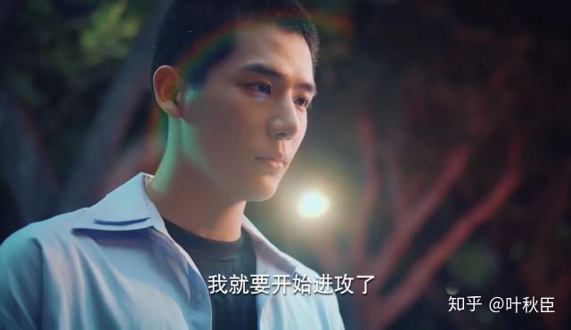 电视剧二十不惑最新季度深度剖析与解读