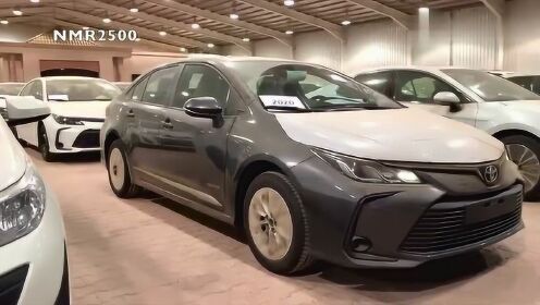 『全新魅力亮相,2020最新款卡罗拉』