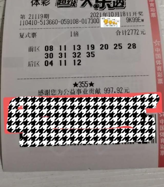 大乐透第119期晒票,幸运之旅交织期待与惊喜