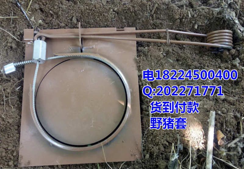 最新吊脚套二代,技术革新与户外安全的挑战