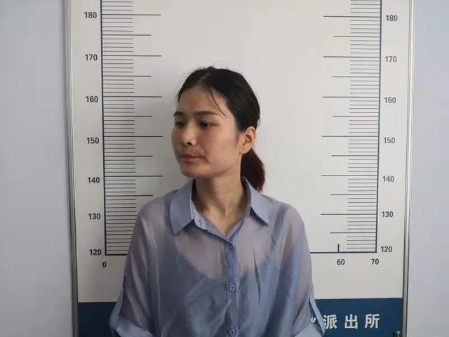 李桂圆持续闪耀,最新消息一览