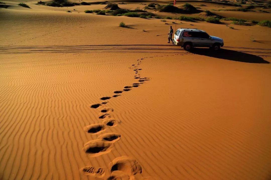 全球农业创新科技引领变革