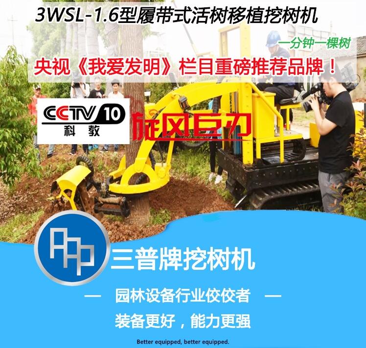 最新挖树机技术革命,重塑林业生产力的先锋工具