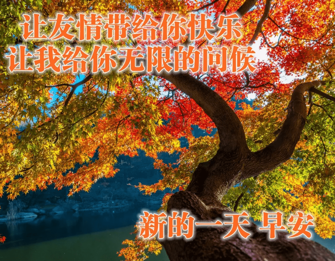 秋日早安美图集锦,唤醒美好清晨的温暖问候图片