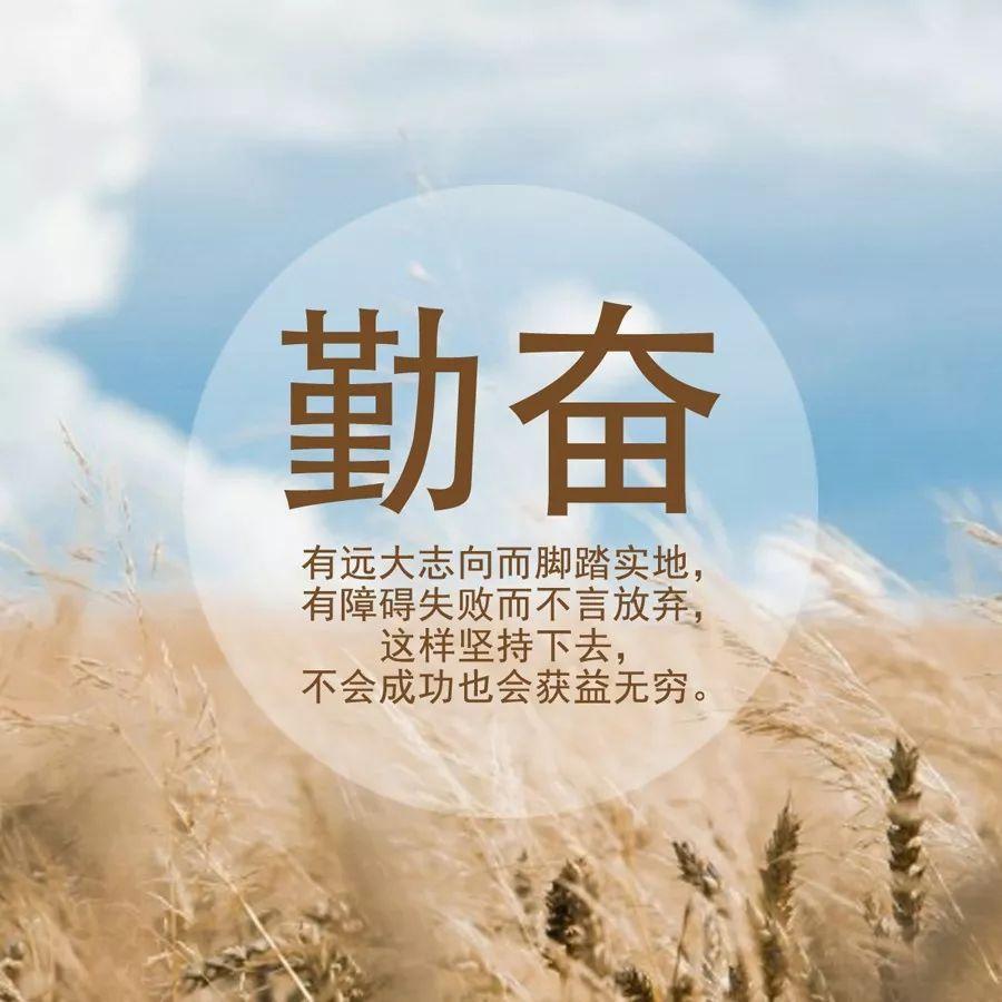 撒景明 第3页
