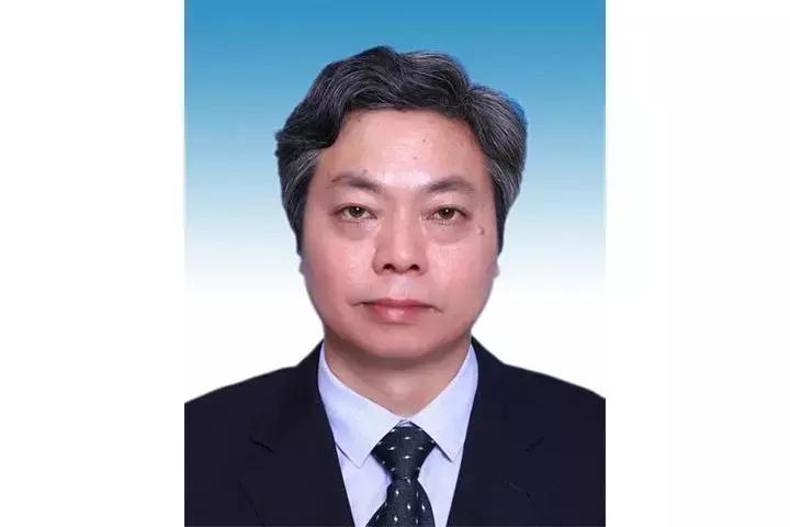 浙江省最新拟任动向深度解读