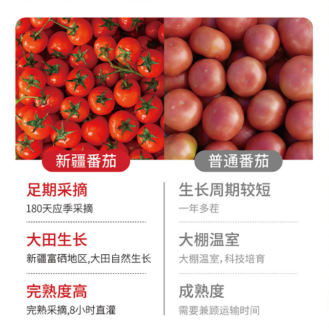 番茄社区,苹果用户社交新领域的探索与最新下载地址