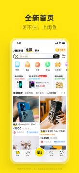 闲鱼最新发布刷新,探索二手市场动态与策略之道