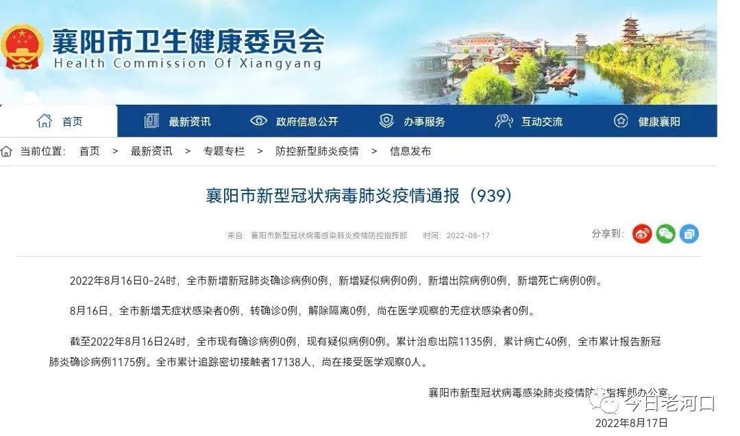 全球冠性肺炎病毒最新动态,疫情通报与应对策略更新