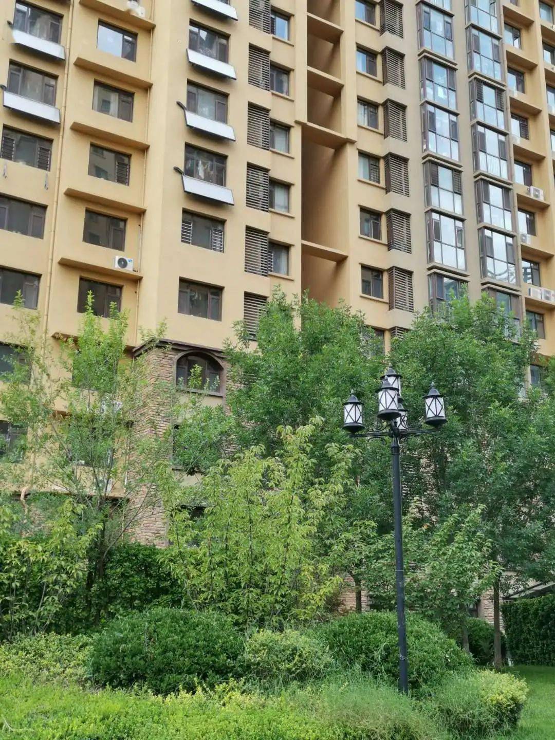 科技与社交的盛宴,全新5XS社区探索之旅