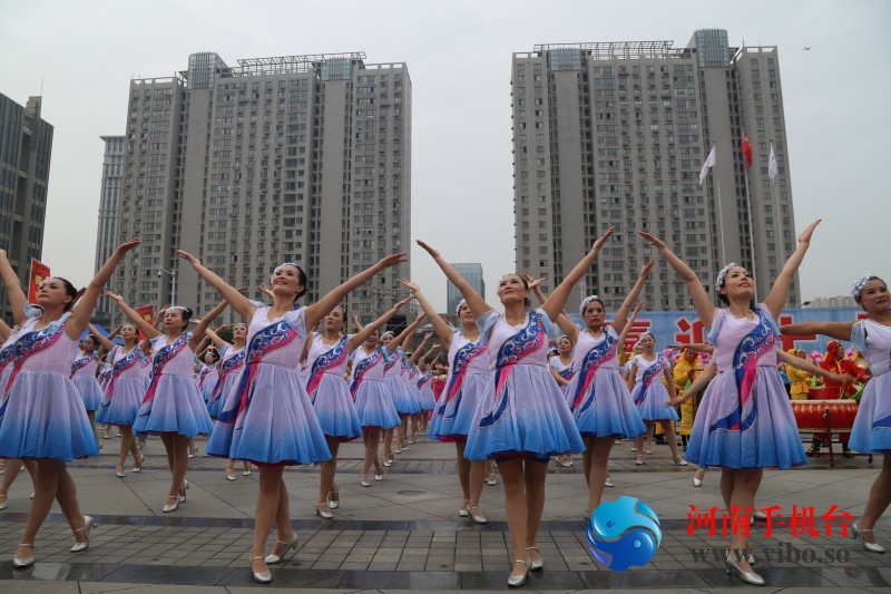 最新广场舞大全,展现生活魅力与活力的舞蹈盛宴(2019版)