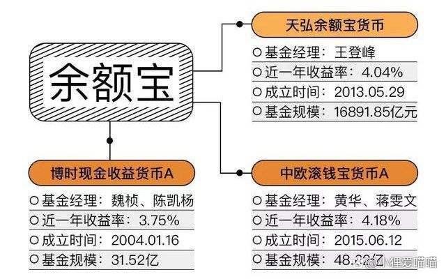钱钱宝最新动态全面解读