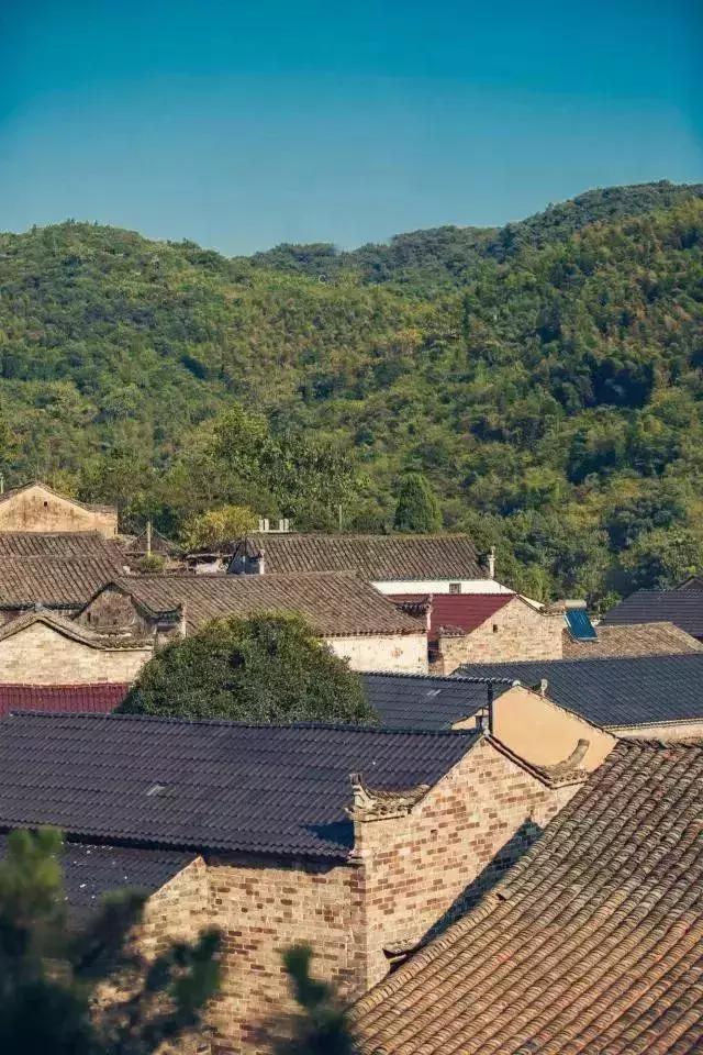 铜陵水灾最新消息,救援进展及影响分析