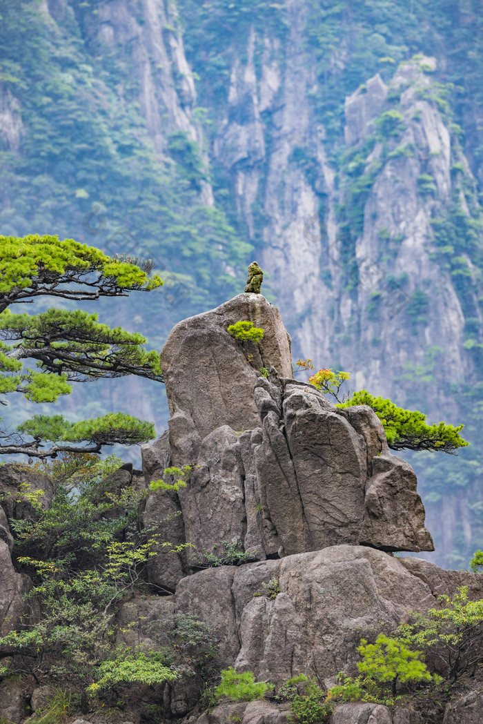 黄山风景最新图片,自然之美的瞬间凝固展现壮丽景色