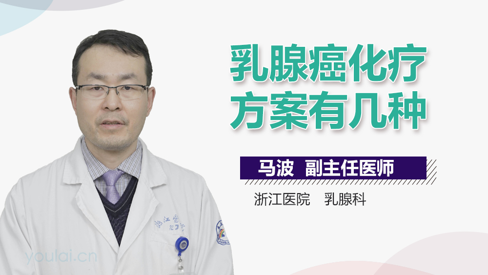 乳腺癌最新化疗方案的研究与应用进展