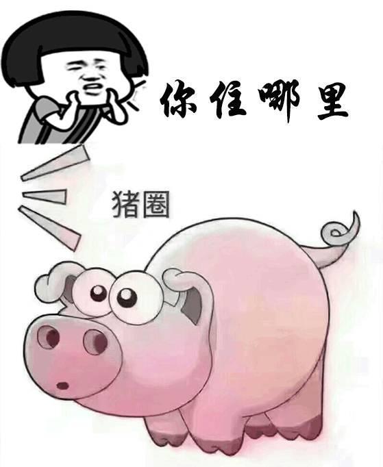 热门表情包一网打尽,轻松找到最新表情资源