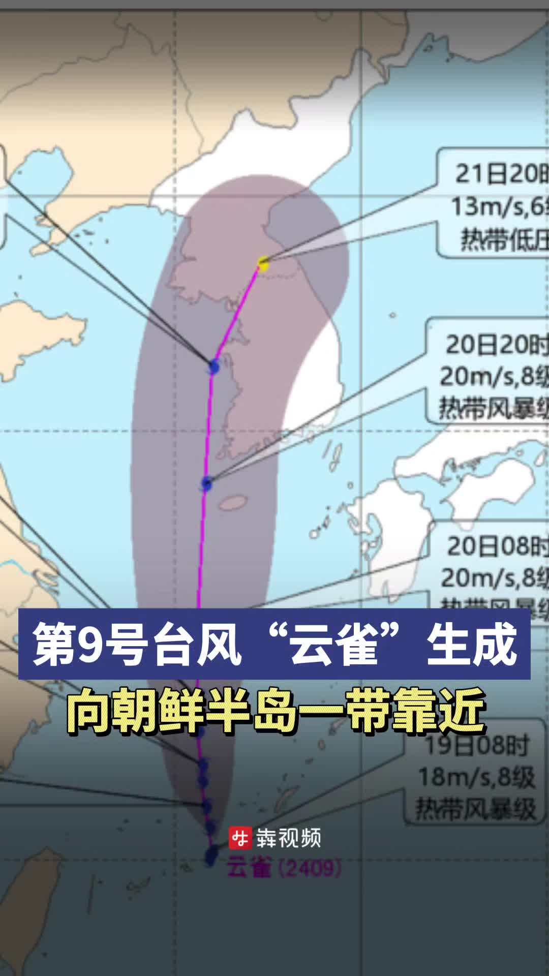 最新台风9号实时位置及影响分析