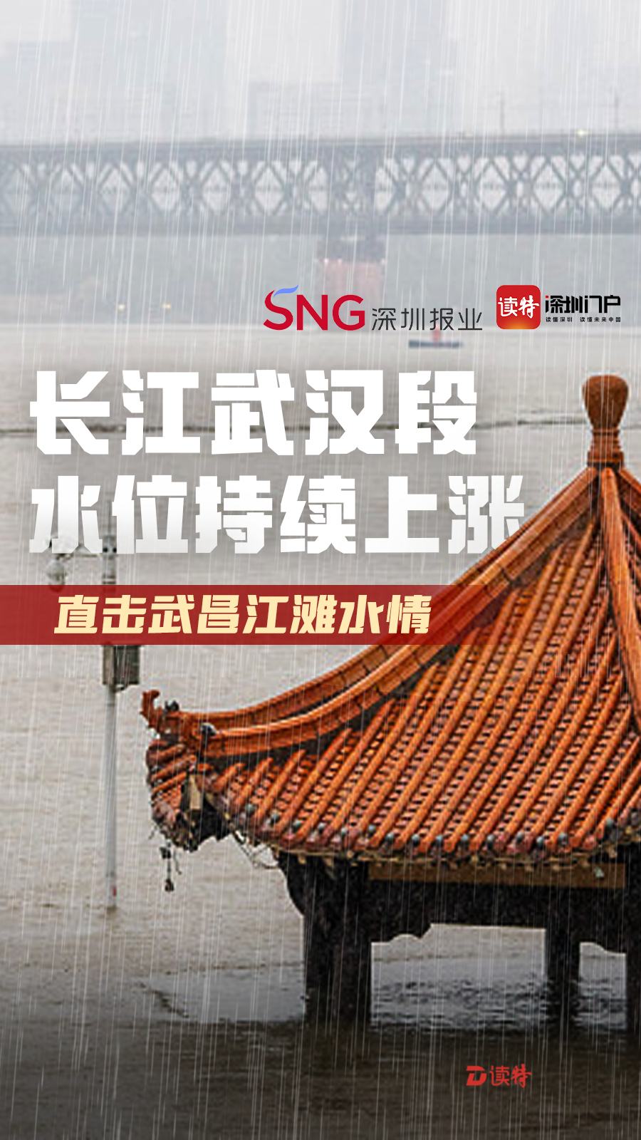 武汉长江洪峰最新动态,全力应对,确保安全无虞