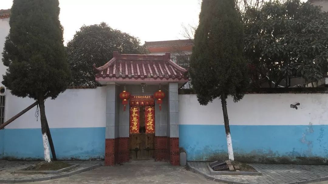 陈树隆最新动态消息简报