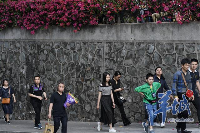来女士凌晨三点的故事,启示与思考