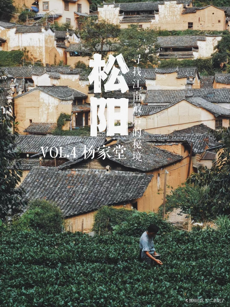 松阳二手房最新动态及市场走势与购房指南