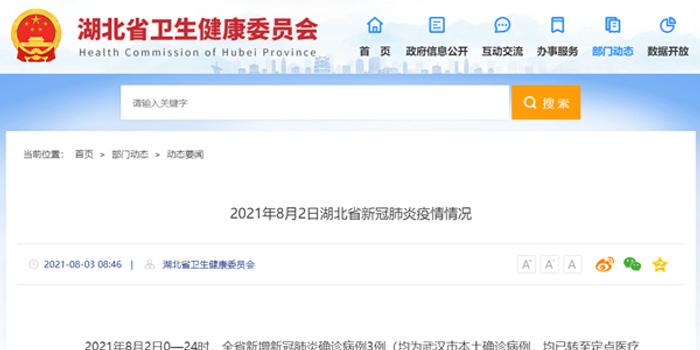 湖北新冠病例最新动态,全面分析、应对策略及未来展望