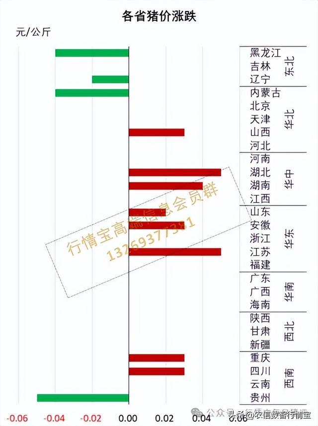 今日猪价上涨最新信息及影响分析