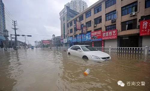 浙江苍南县最新台风动态与影响分析