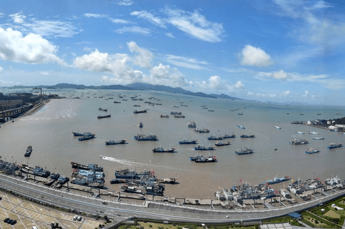 浙江苍南县最新台风动态与影响分析