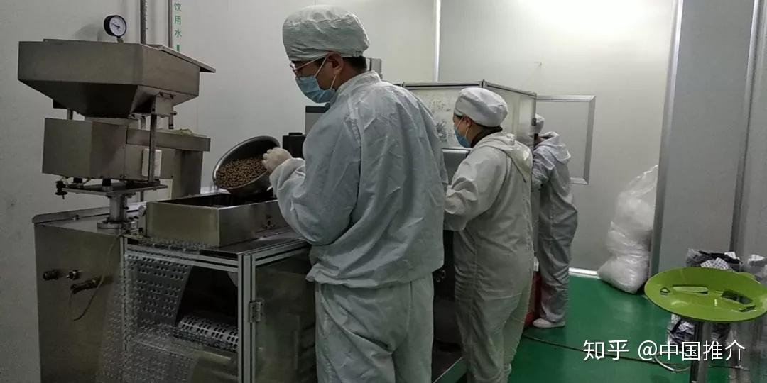 晶珠藏药最新动态,先锋力量引领藏药发展之路