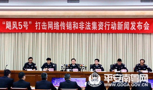 许网保最新消息综述,动态与解析